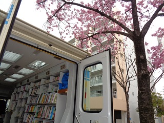 車外桜画像