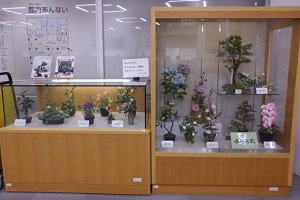 造形盆栽展の写真