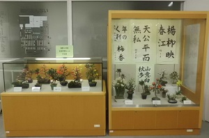 造形盆栽と書道の作品の写真