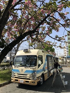 鶴町の桜