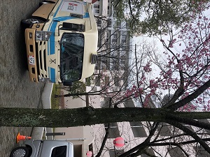 東三国ステーション桜