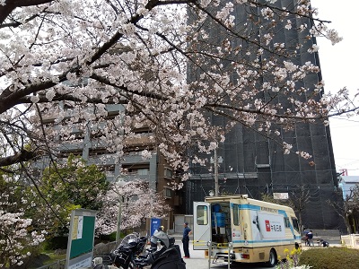 桃ヶ池公園ステーション桜