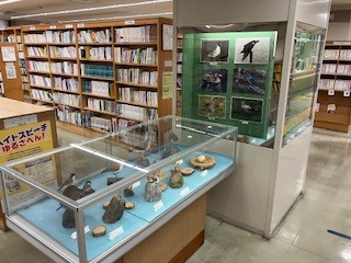 野鳥の世界の写真1