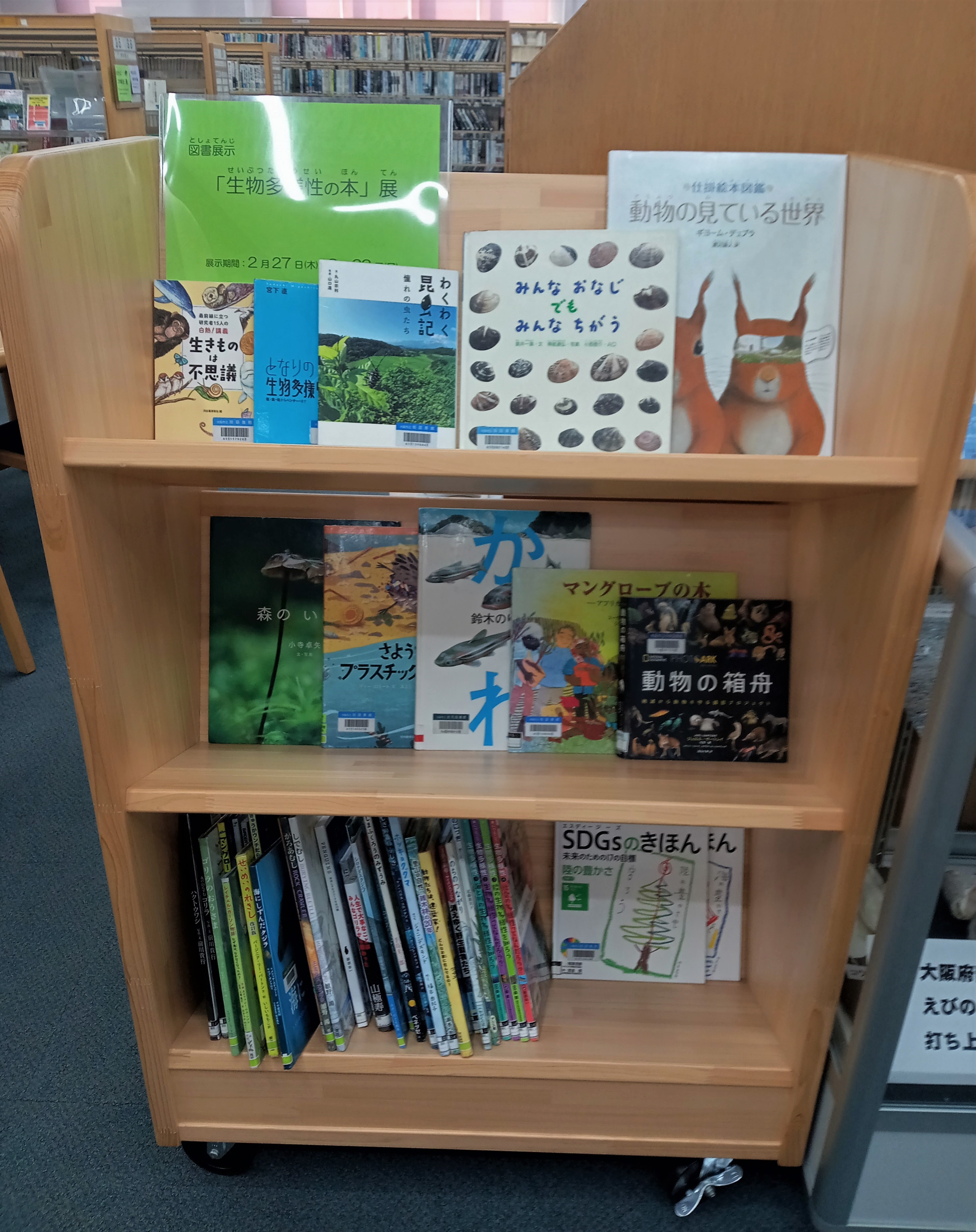 生物多様性の本展写真