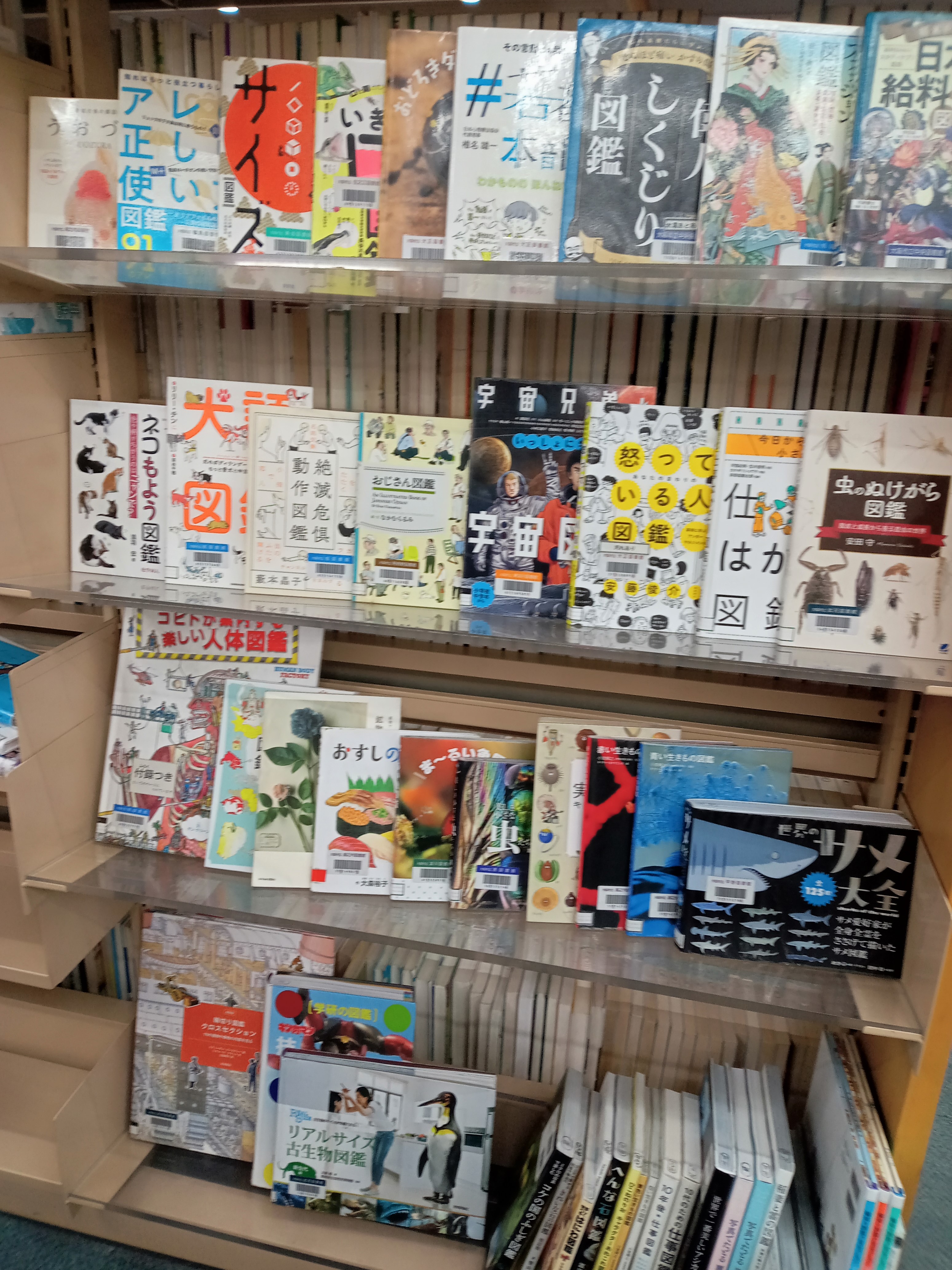 「図鑑いろいろ」展写真