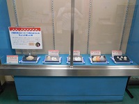 出張！自然史博物館展の写真