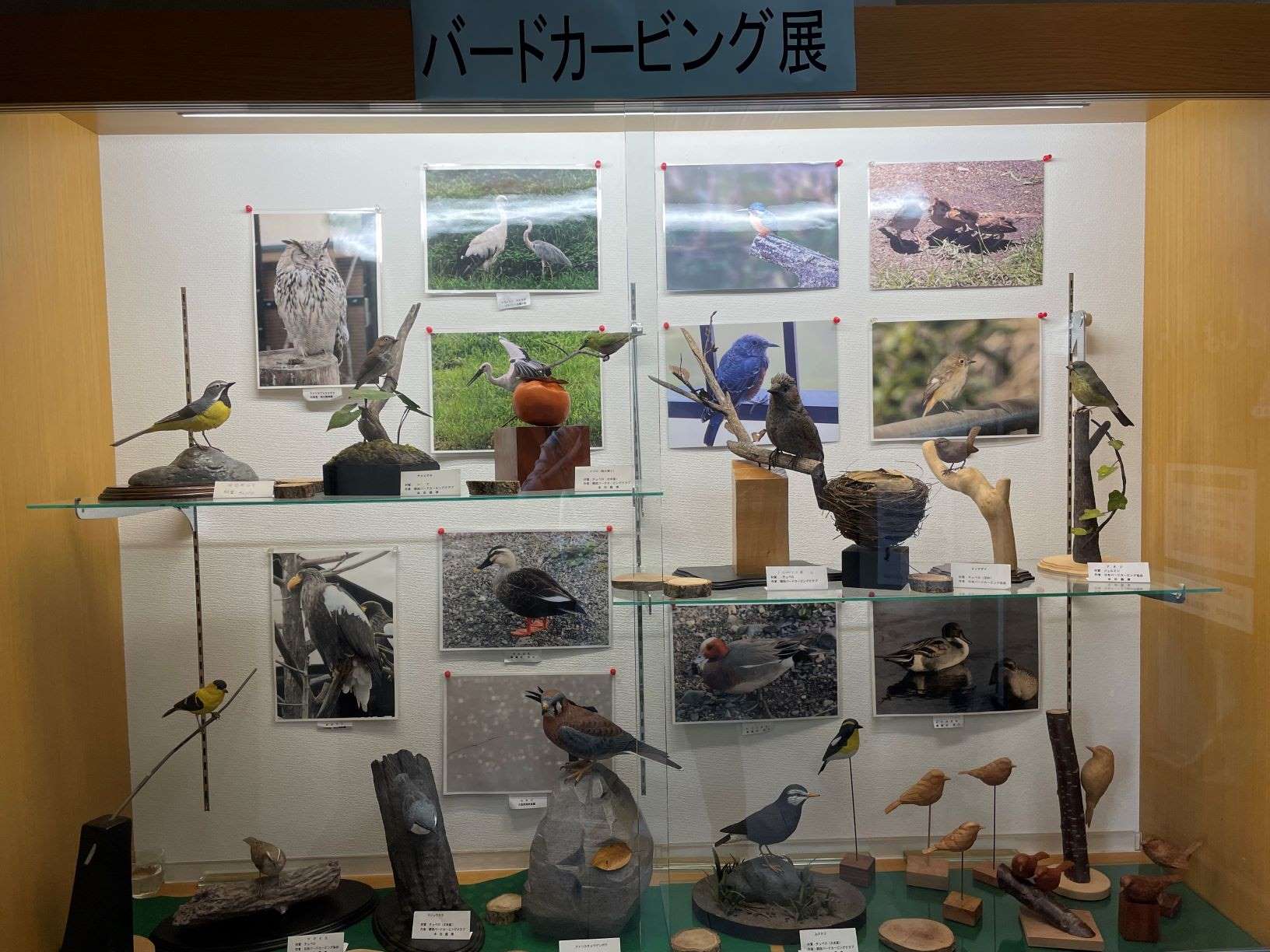バードカービング展
