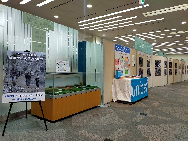 展示の様子