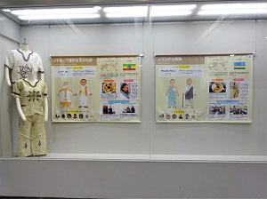 展示のようす