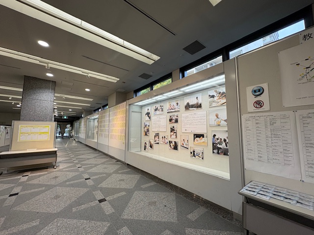 展示のようす