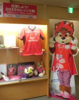 セレッソ展示2