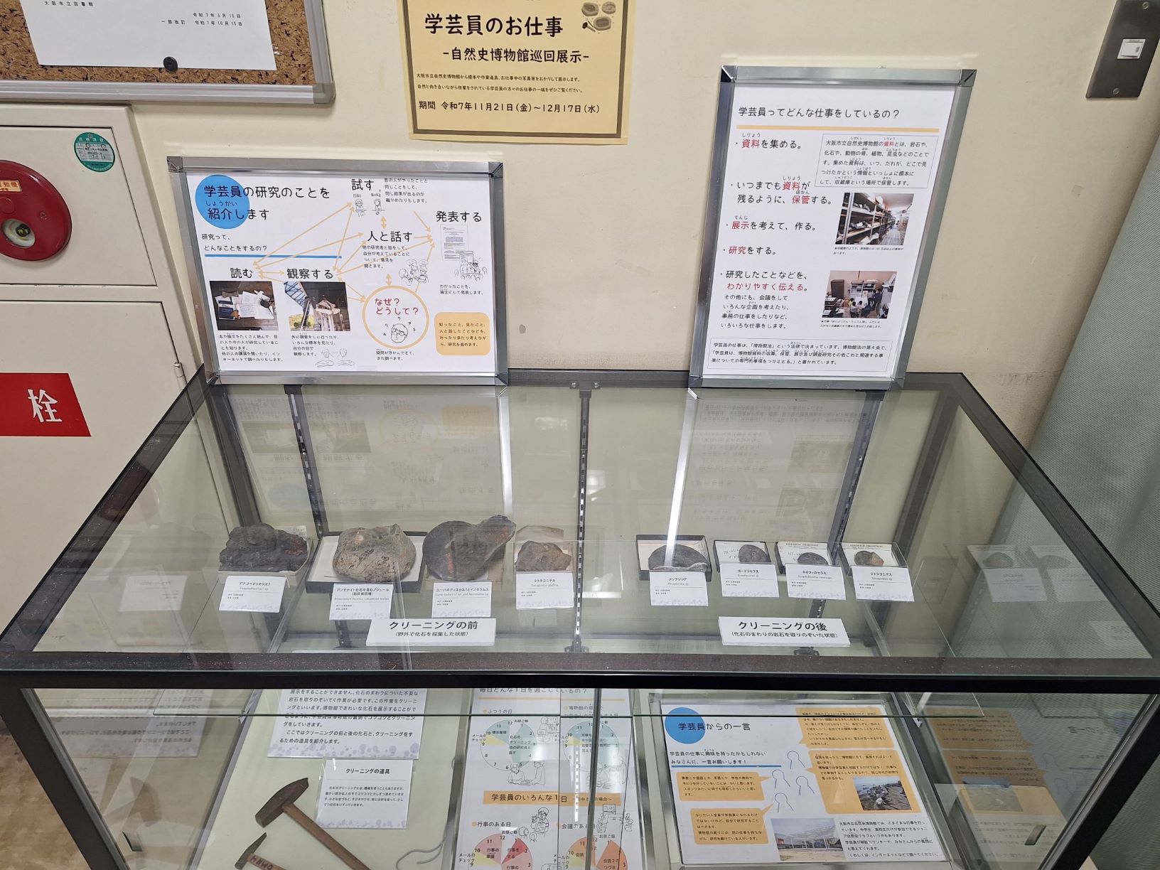 ガラスケース展示学芸員のお仕事展画像