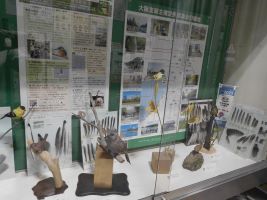 入口のケース展示の写真
