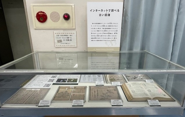 自然史博物館巡回ケース展示写真