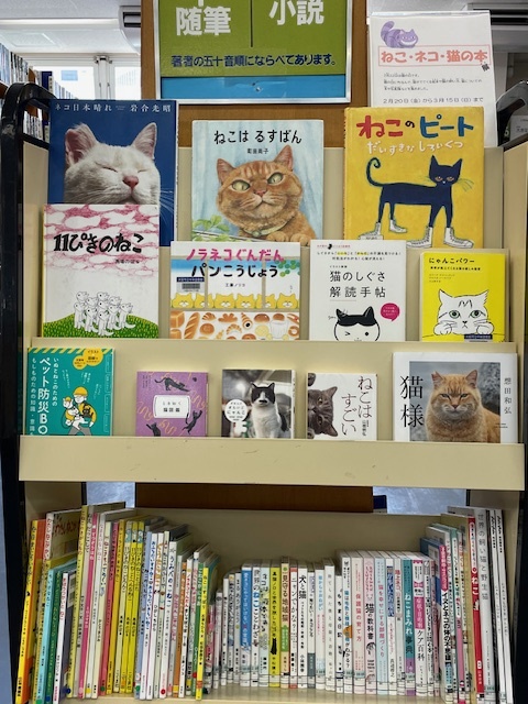 猫の本展示風景