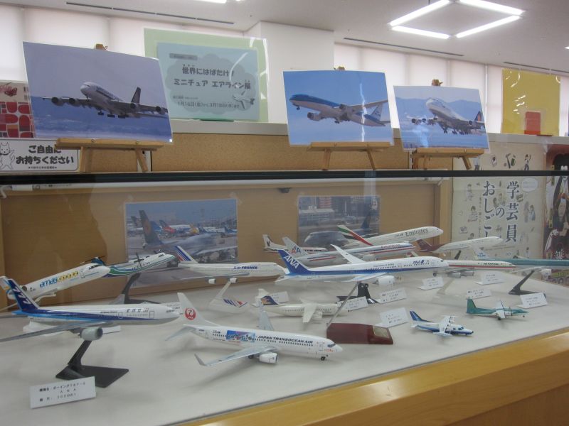 ケース展示の写真