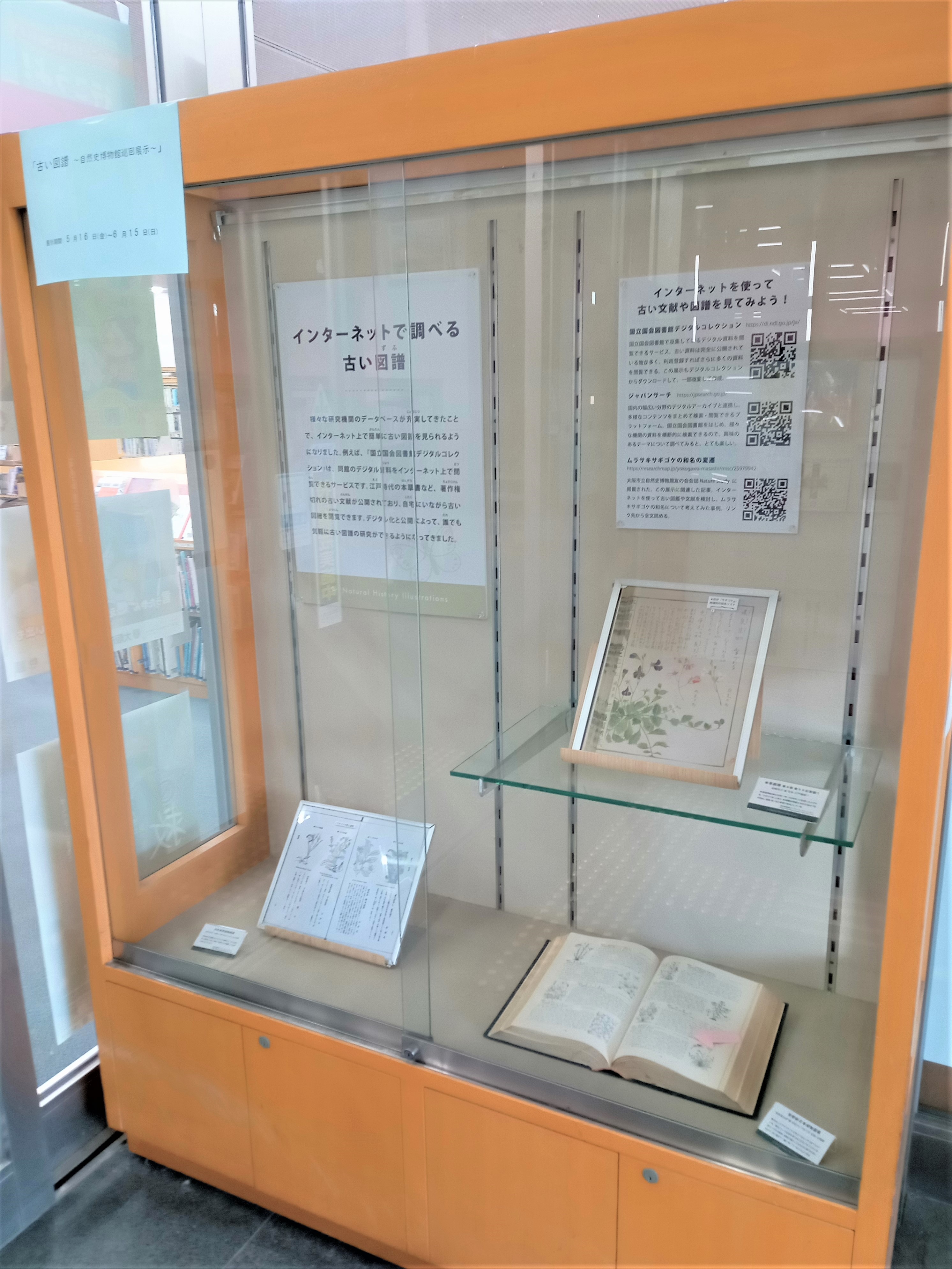古い図譜　展示写真