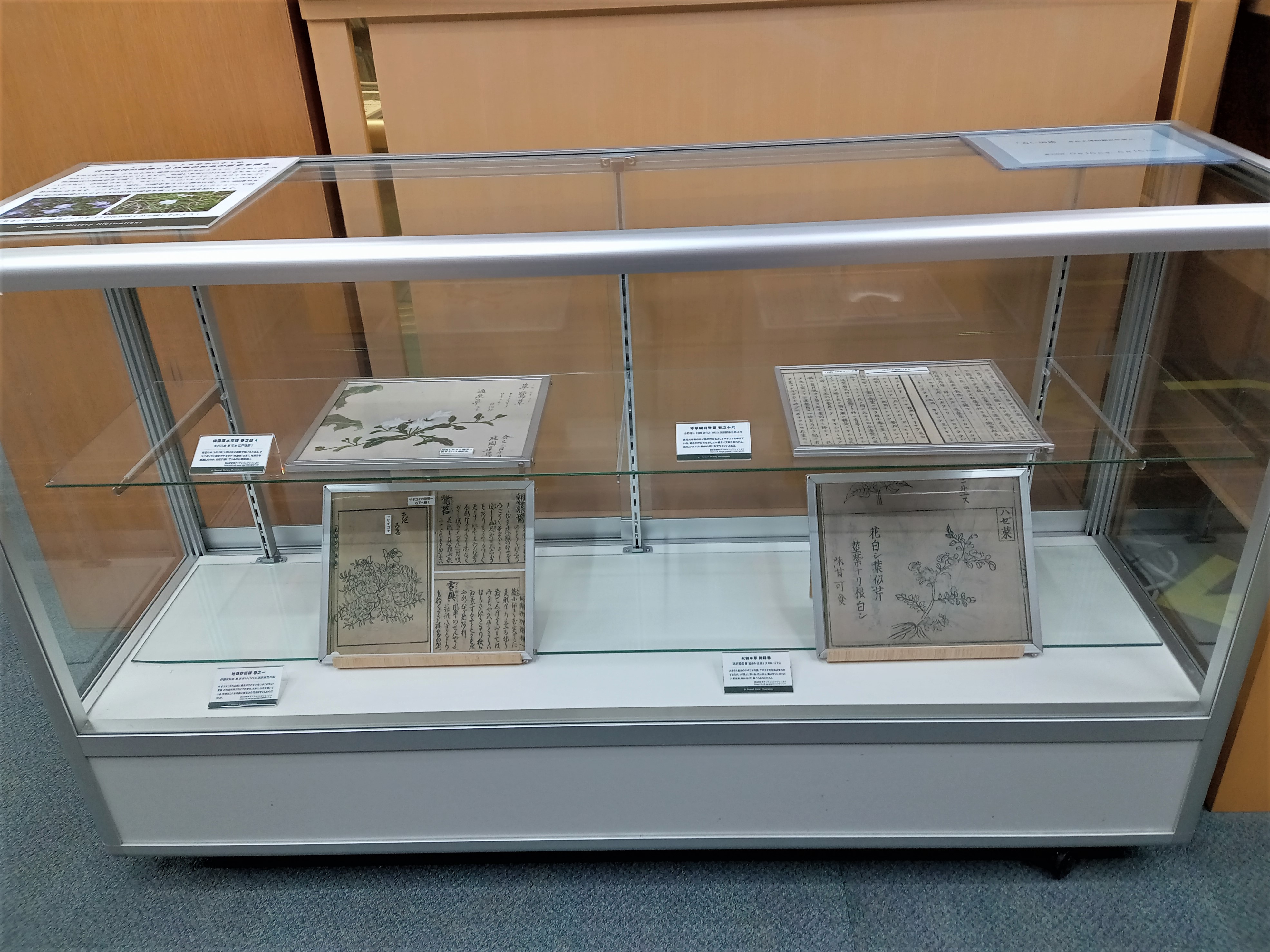古い図譜　展示写真