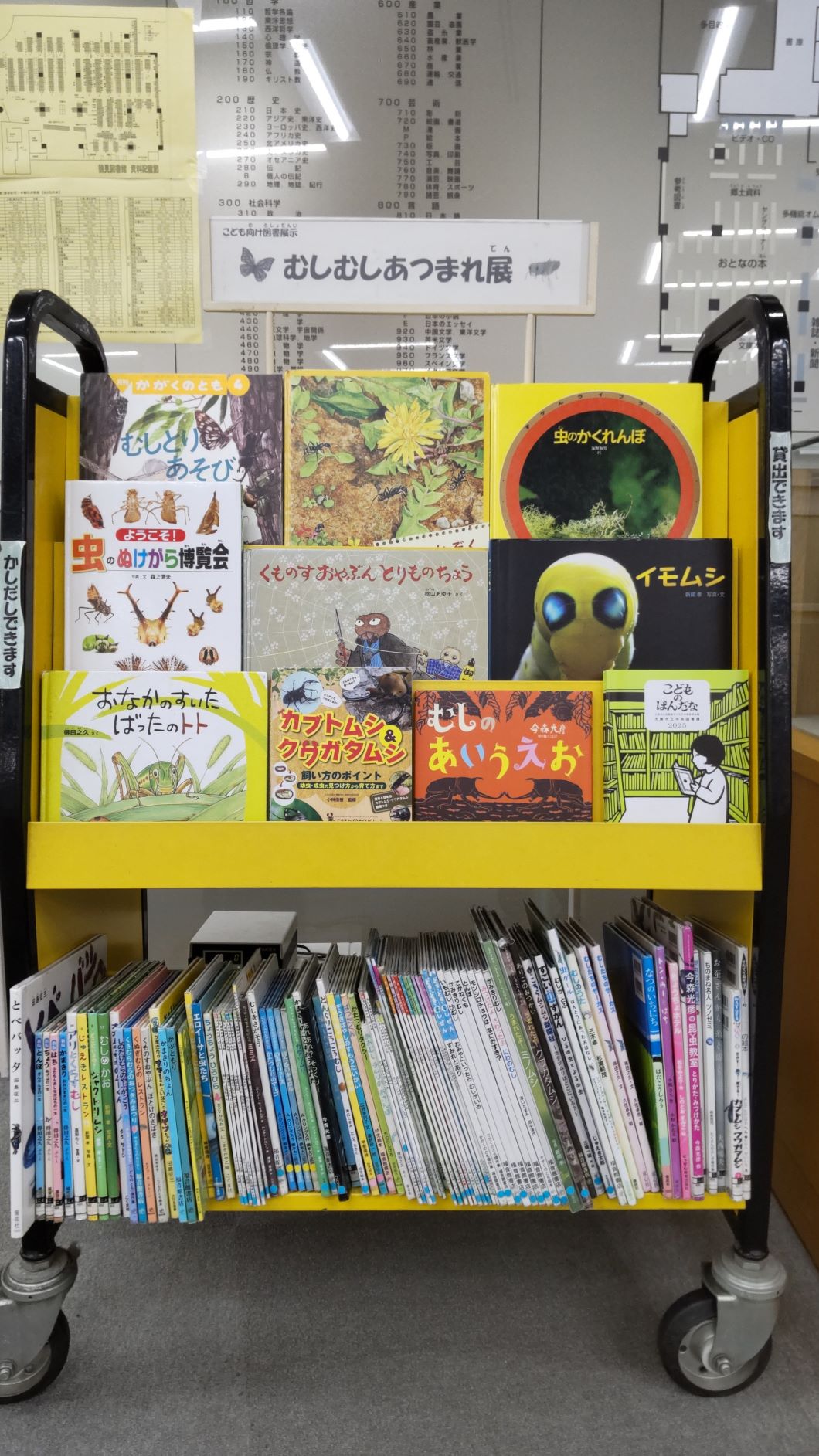 「むしむしあつまれ展」の写真