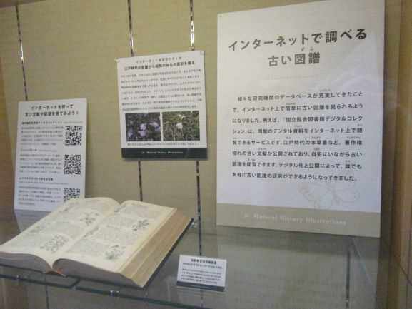 出張自然史博物館展示の様子2