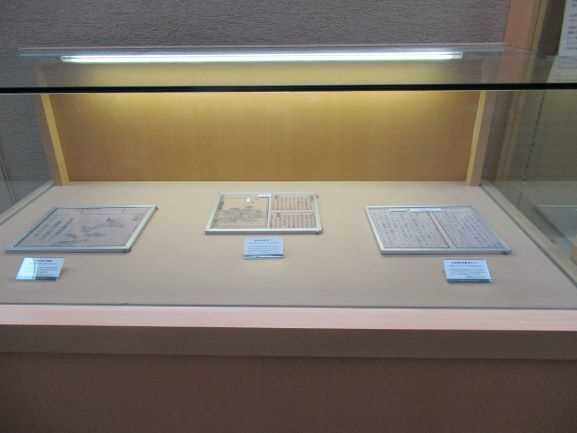 出張自然史博物館展示の様子3