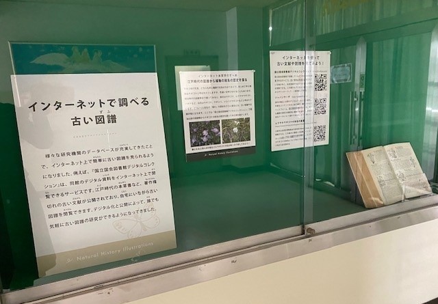 展示ケース