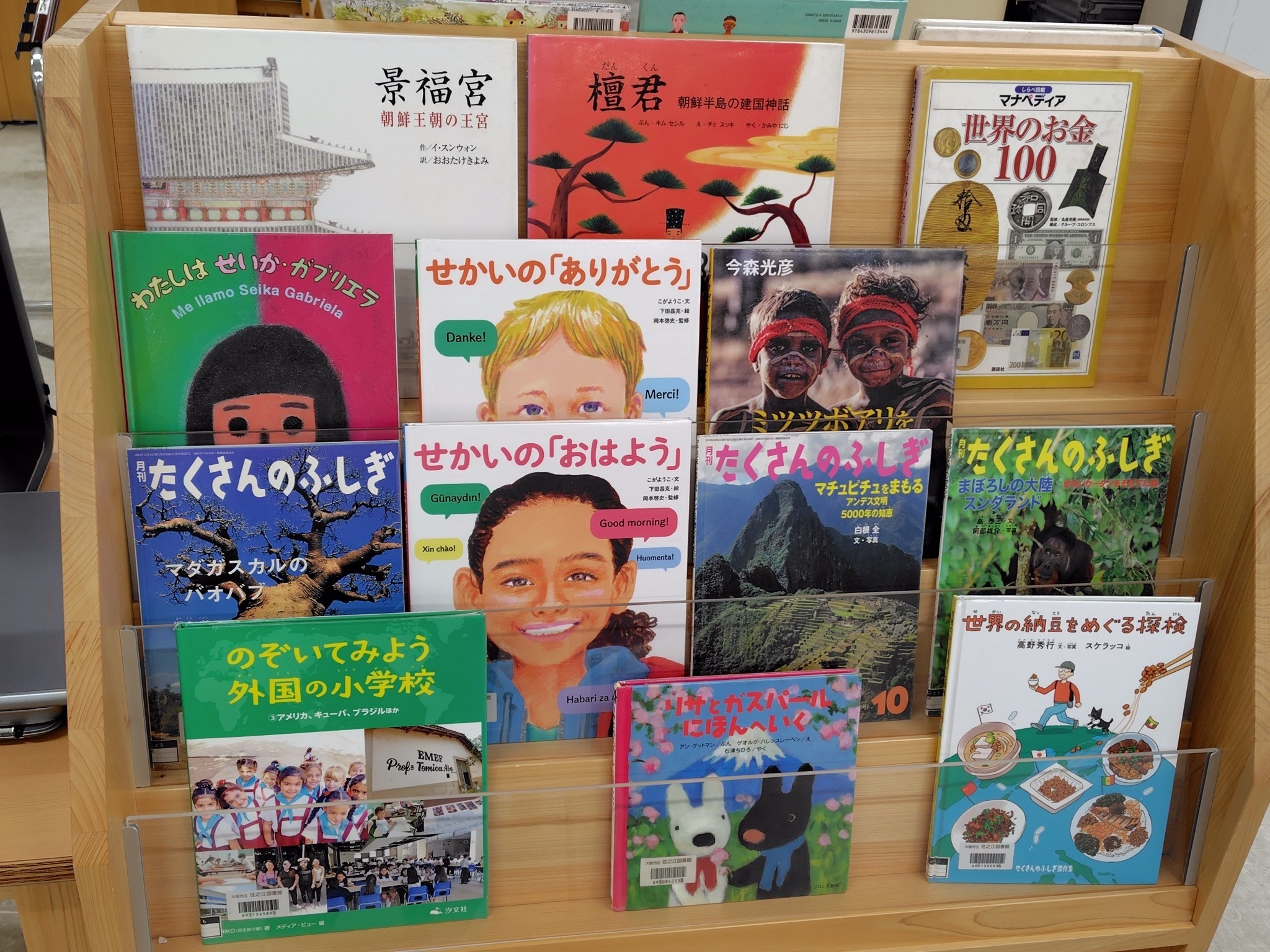 展示の様子