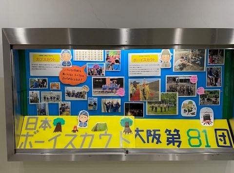 展示の様子