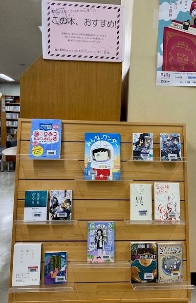 展示の様子