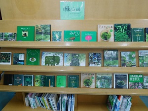 展示写真2