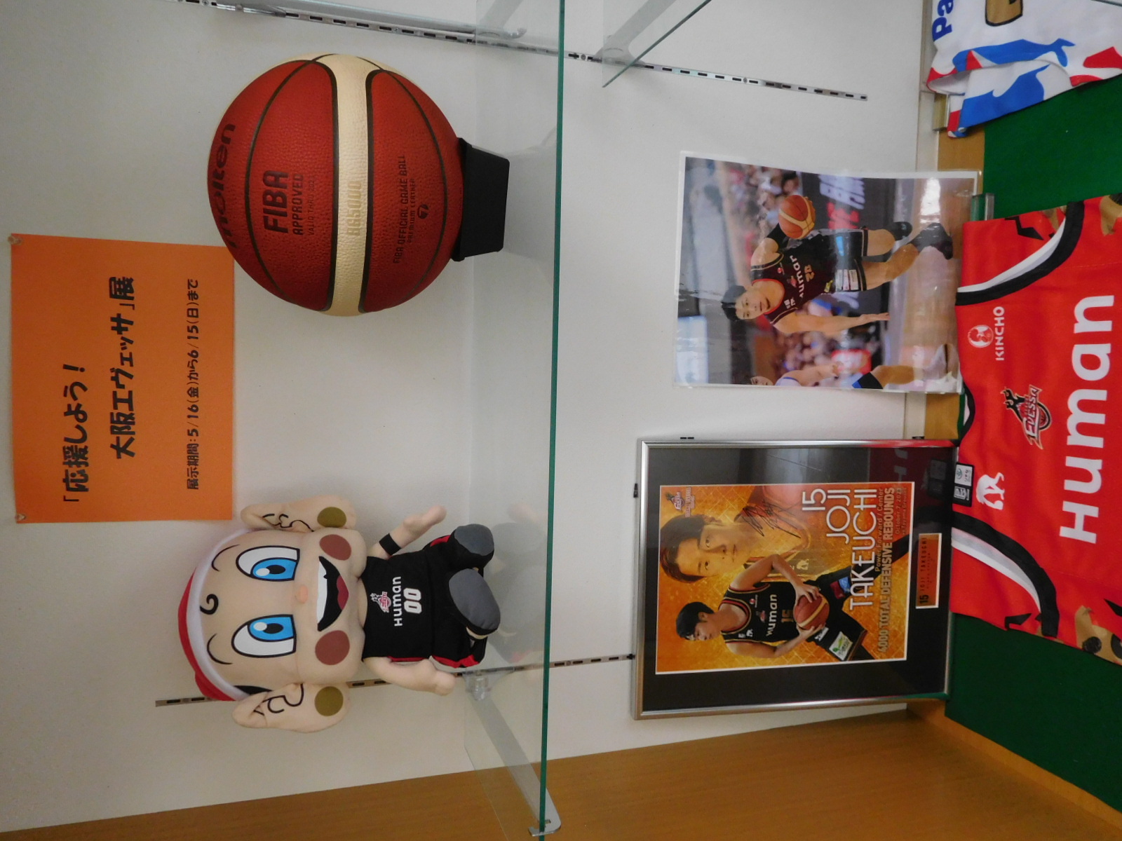 エヴェッサ展示１タイトル