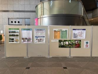 展示のようす