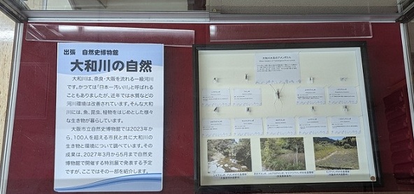 展示物写真