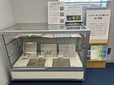 展示風景1