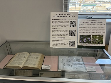 展示風景2