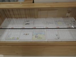 展示ケースの中の様子