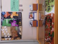 横置きケースの展示の様子