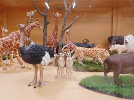 ケース展示の中の動物たち