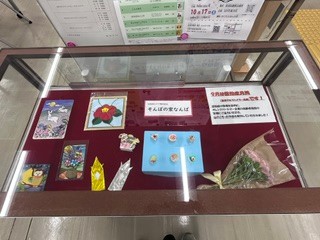 ケース展示画像2