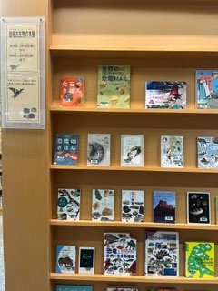 恐竜古生物の本展写真