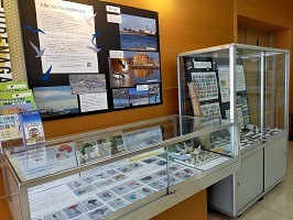 展示の様子