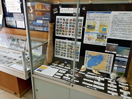 展示の様子