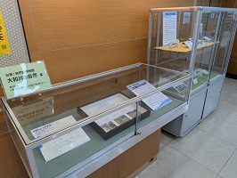 展示の様子
