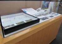 展示の様子