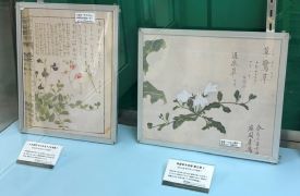 展示風景