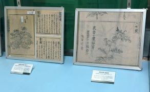 展示風景