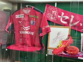 ケース展示「応援しよう！2026セレッソ大阪」展 9月16日まで - 大阪