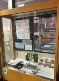 ケース展示「大阪の生物多様性」展写真2