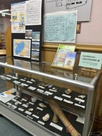 ケース展示「大阪の生物多様性」展写真1