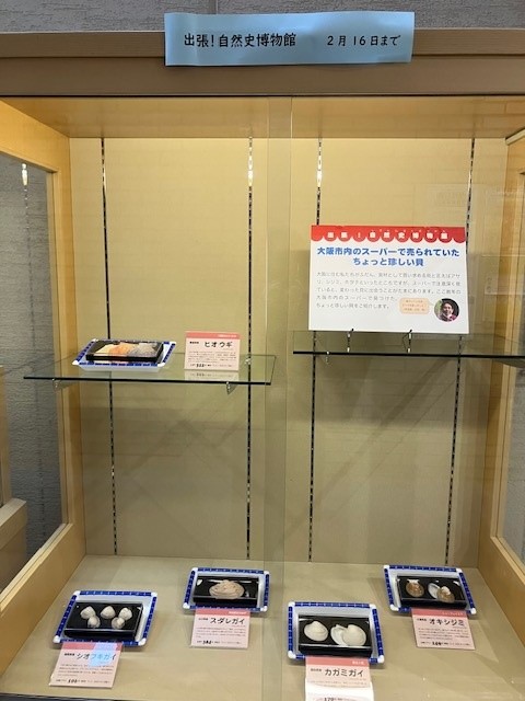 絵本展の写真